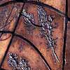 pressed plants mosaic